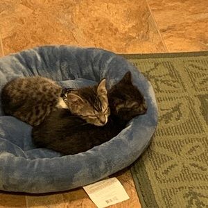 Meet your Posher, Kay